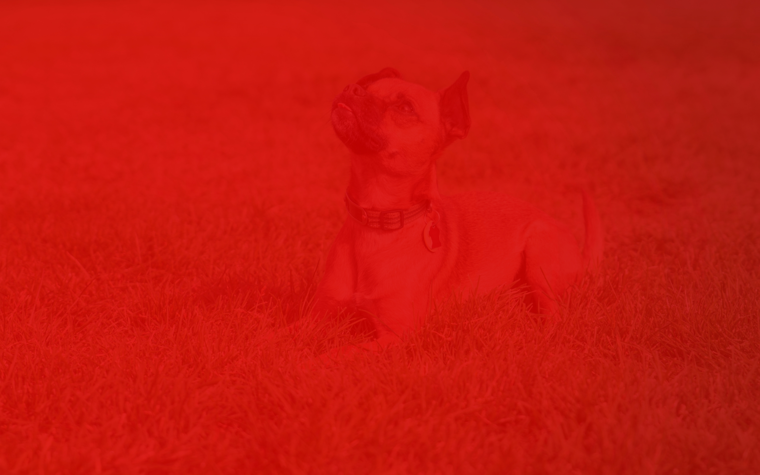 ¡Ven a platicar con Ernesto Vivas!