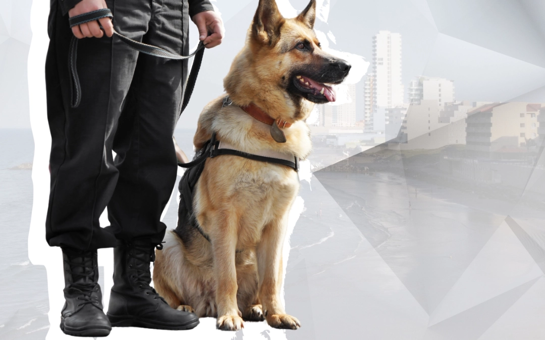 Propuestas en Seguridad y Tranquilidad